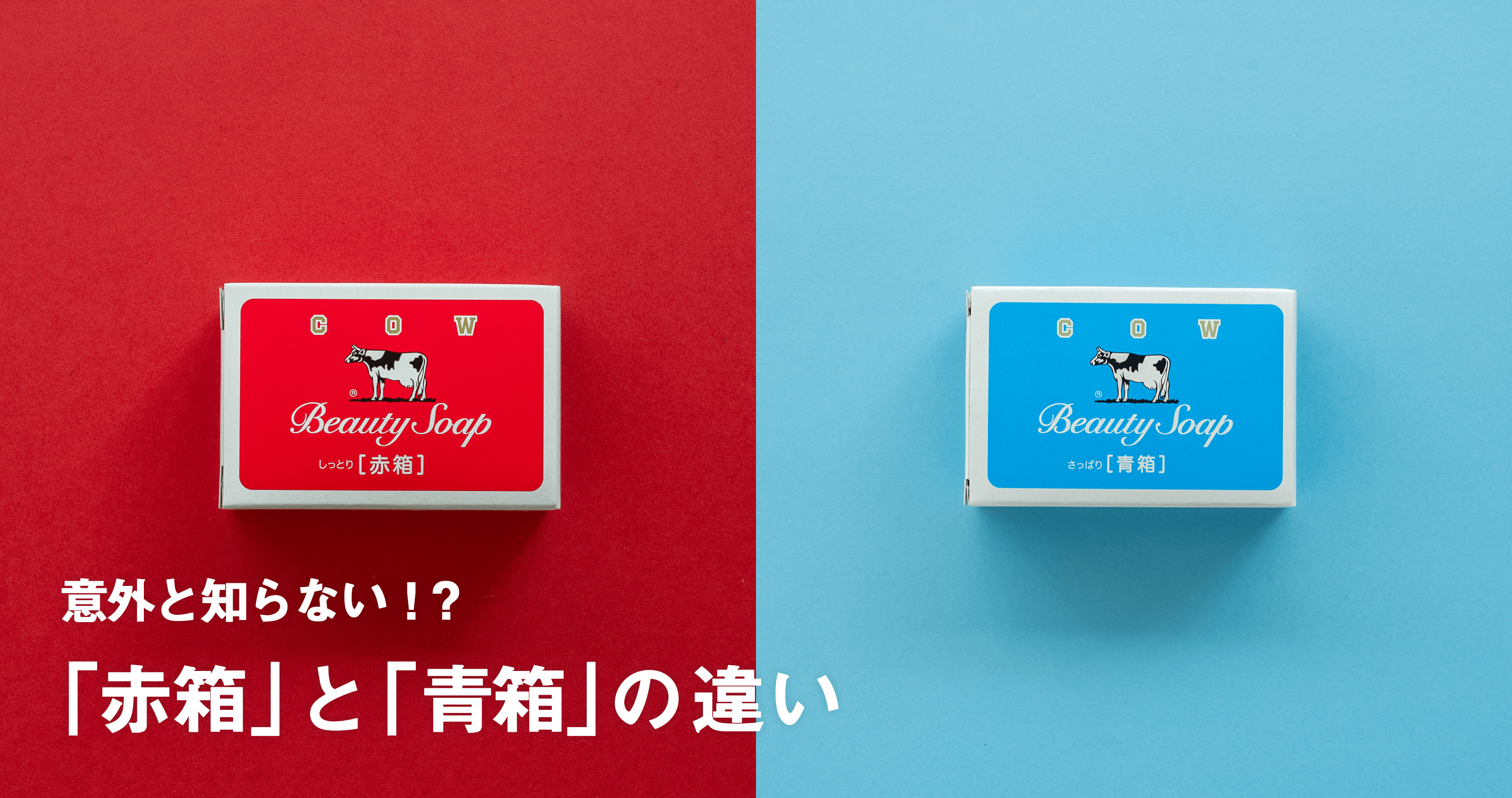 意外と知らない！？「赤箱」と「青箱」の違い